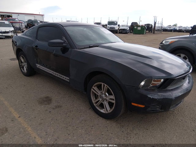 Salvage Ford Mustang Image