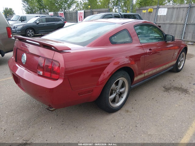 Ford Mustang V6