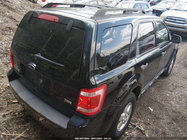 Ford Escape Xlt