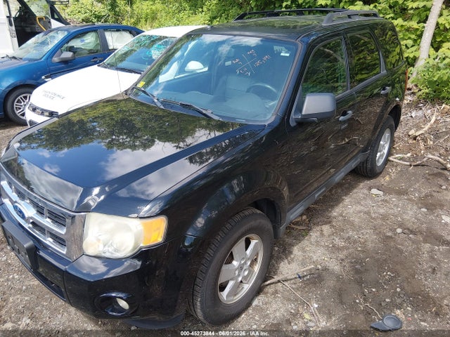 Ford Escape Xlt
