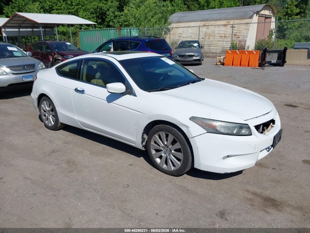 Salvage Honda Accord Image