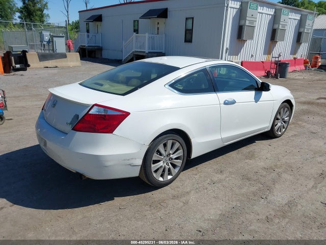 Honda Accord 3.5 Ex-l