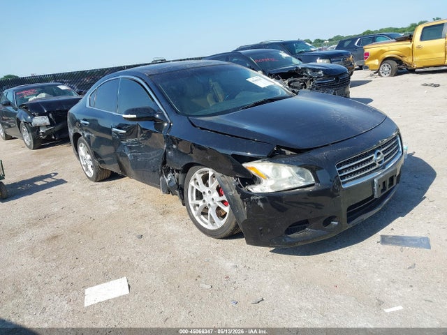 Salvage Nissan Maxima Image