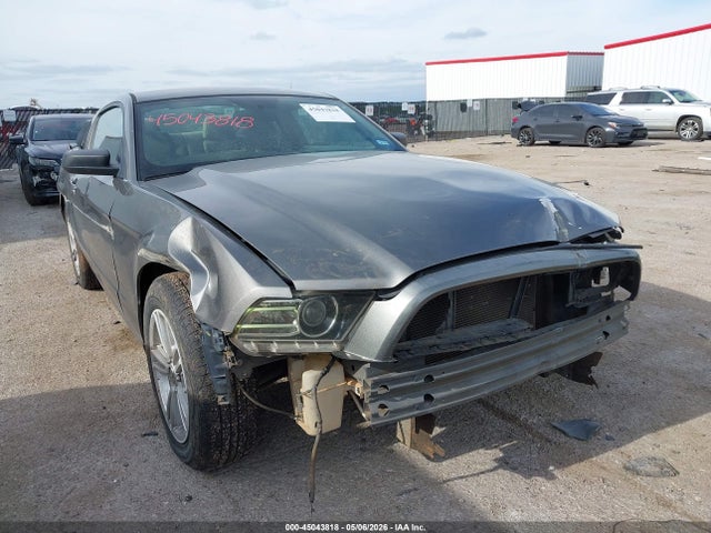 Salvage Ford Mustang Image
