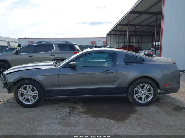 Ford Mustang V6