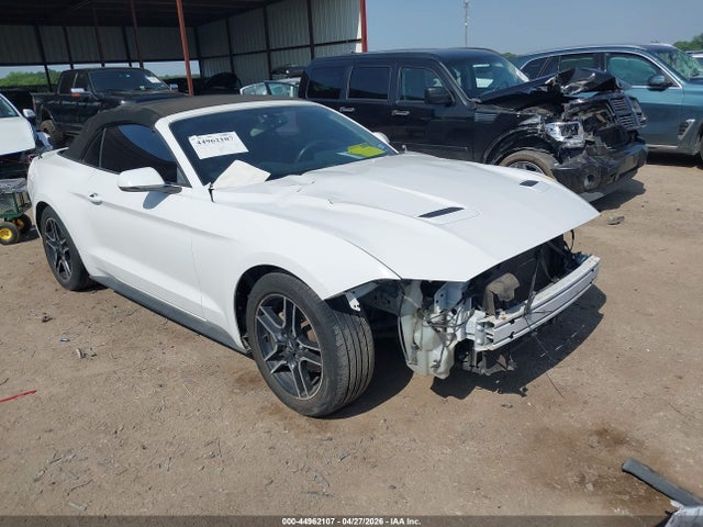 Salvage Ford Mustang Image