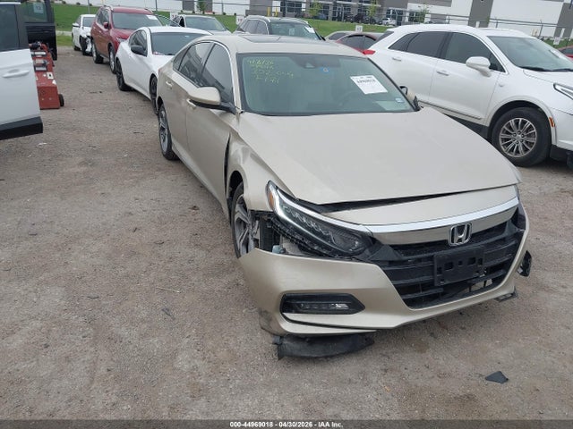 Salvage Honda Accord Image