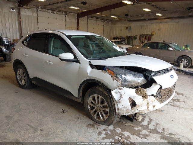 Salvage Ford Escape Image