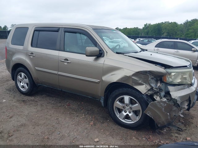 Salvage Honda Pilot Image