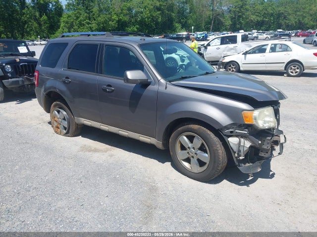 Salvage Ford Escape Image