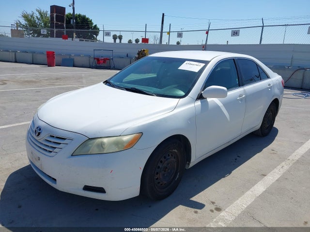 Toyota Camry Le V6