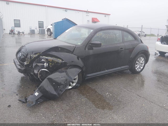 Volkswagen Beetle 1.8t Fleet Edition