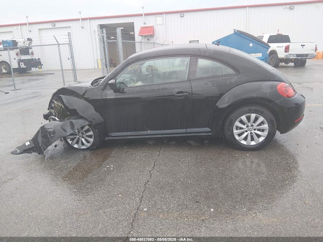 Volkswagen Beetle 1.8t Fleet Edition