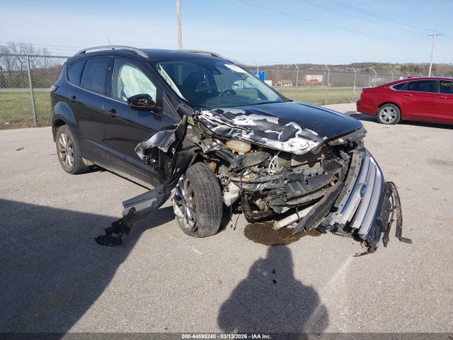 Salvage Ford Escape Image