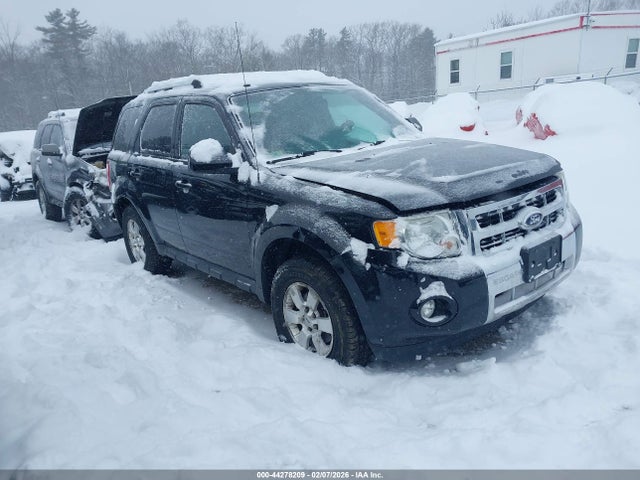 Salvage Ford Escape Image