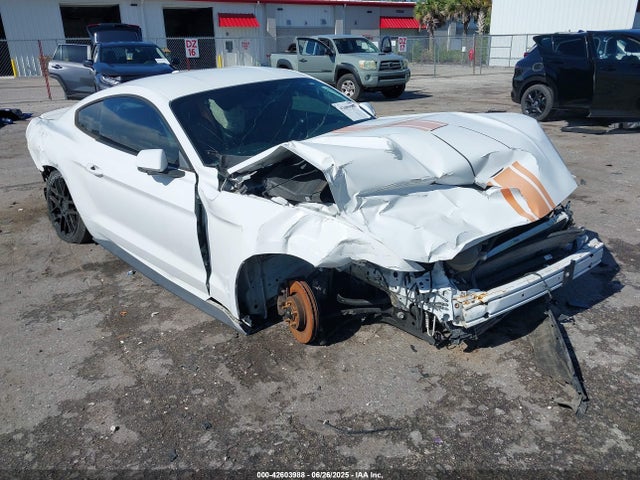 Salvage Ford Mustang Image