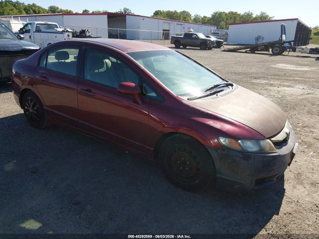 Salvage Honda Civic Image