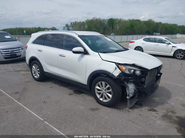 Salvage Kia Sorento Image