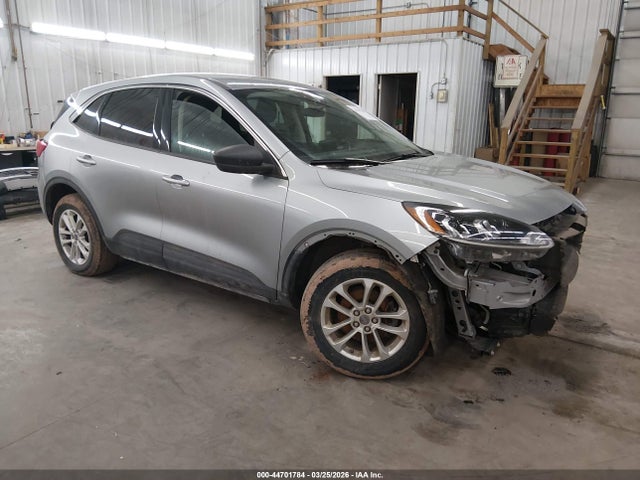 Salvage Ford Escape Image