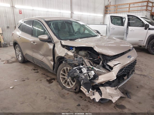 Salvage Ford Escape Image