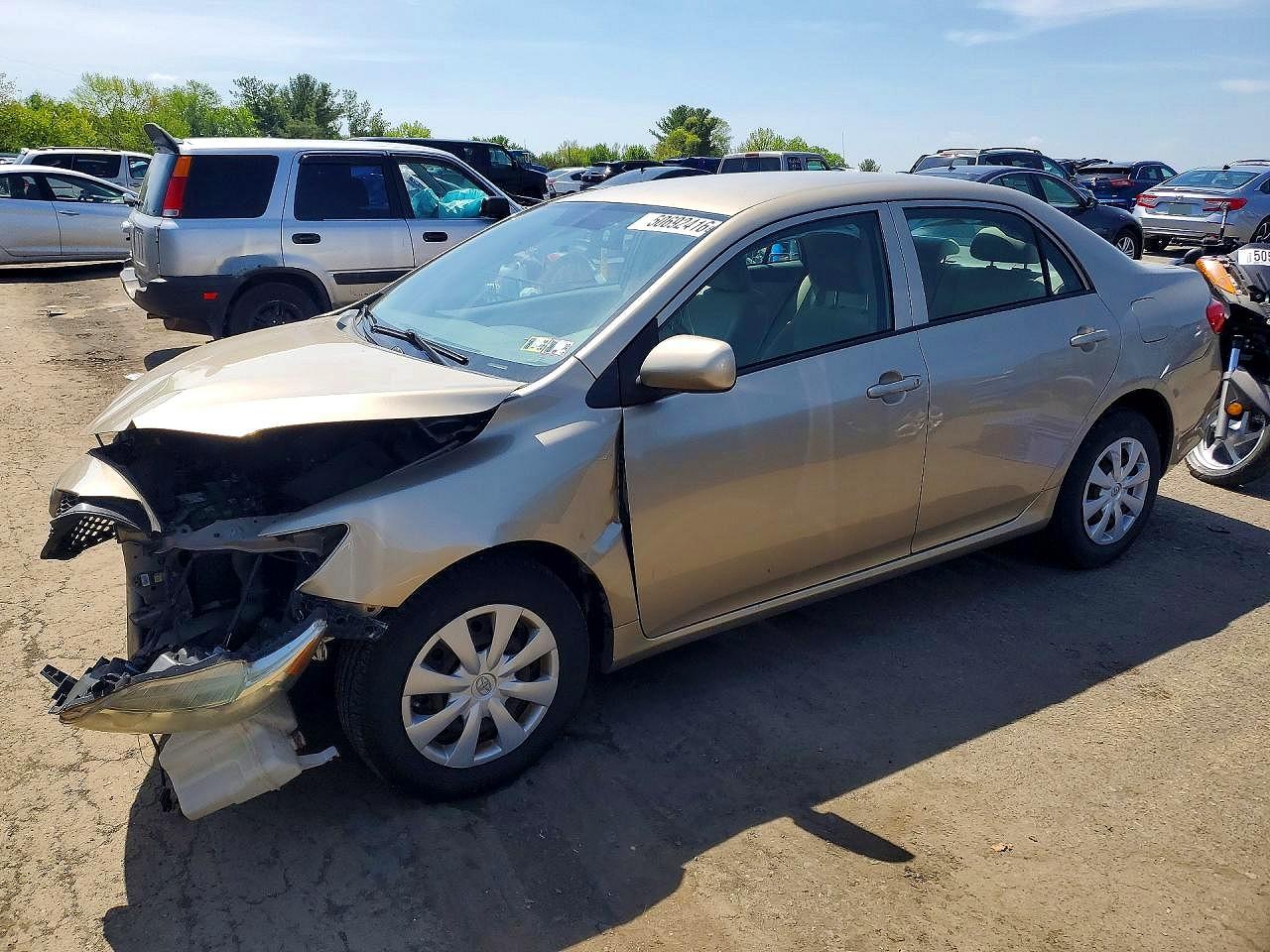 Salvage Toyota Corolla Image