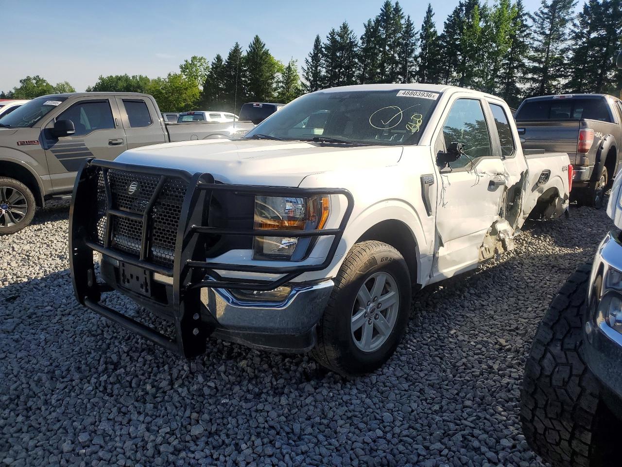 Salvage Ford F-150 Image
