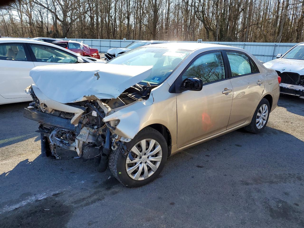 Salvage Toyota Corolla Image