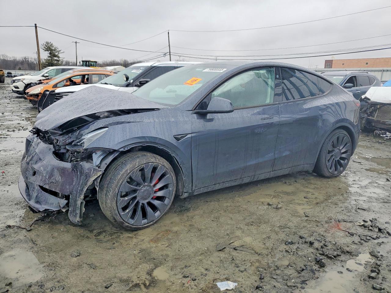 Salvage Tesla Model Y Image