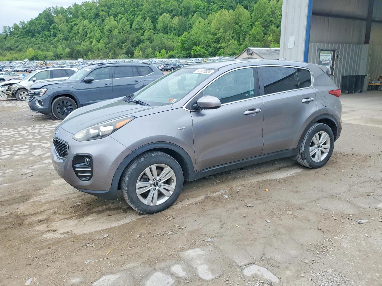 Salvage Kia Sportage Image