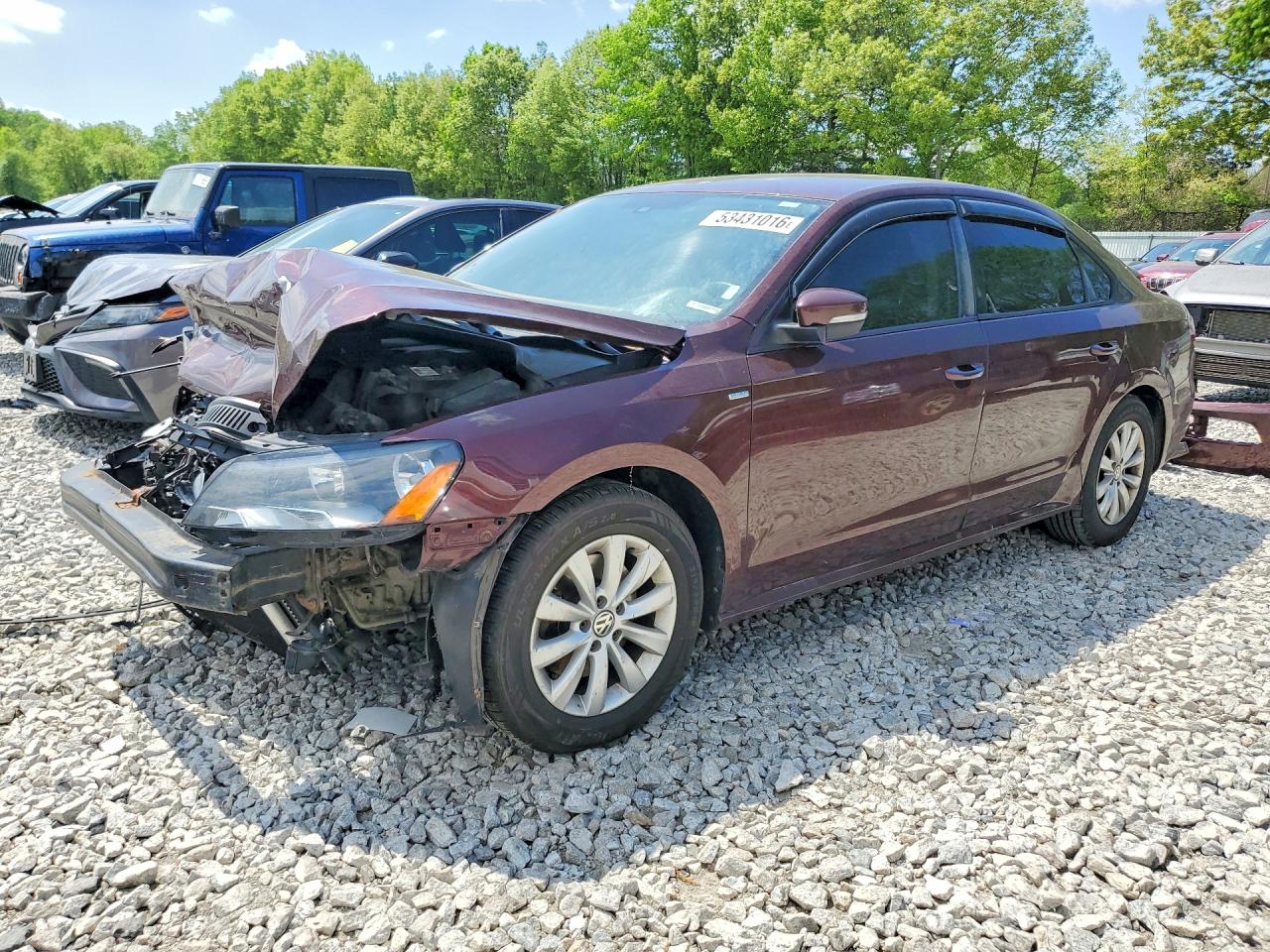 Salvage Volkswagen Passat Image