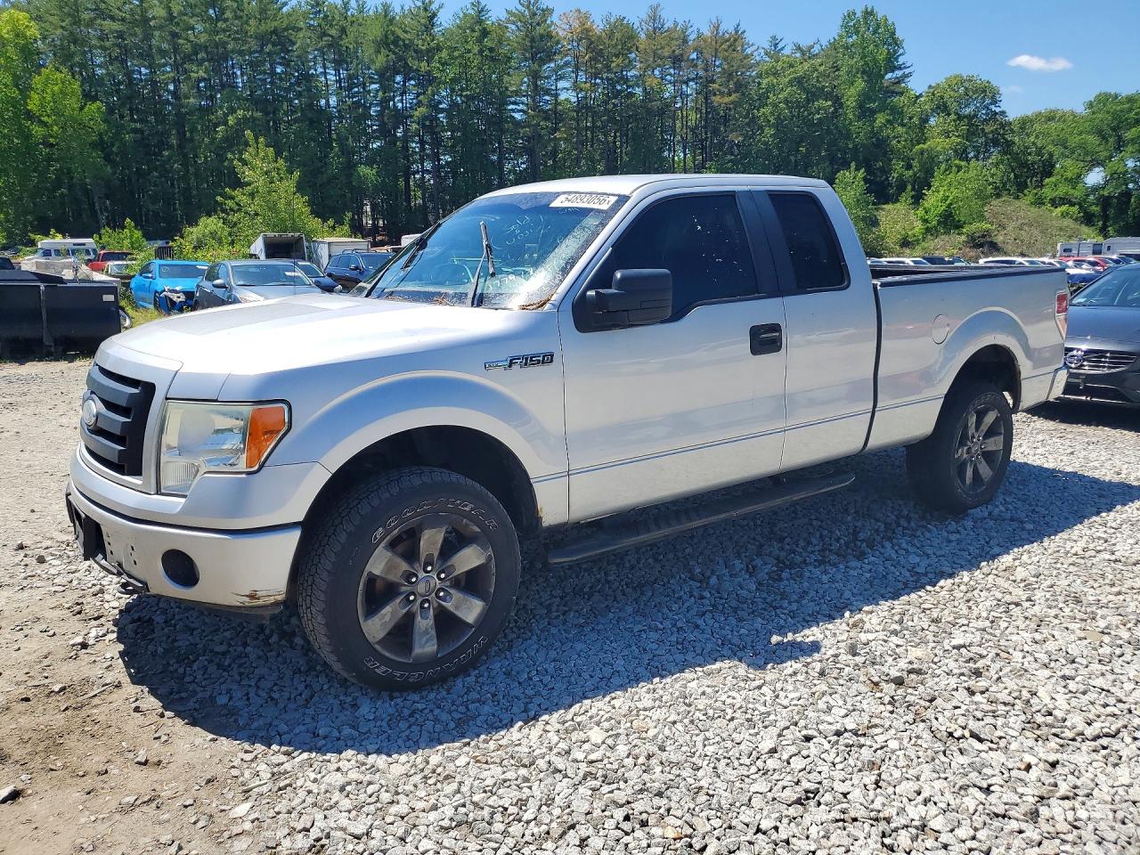 Salvage Ford F-150 Image