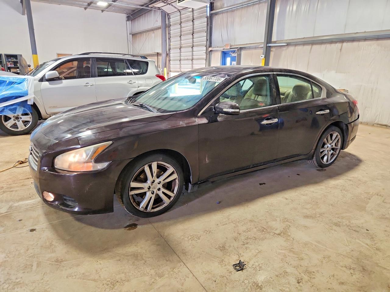 Salvage Nissan Maxima Image