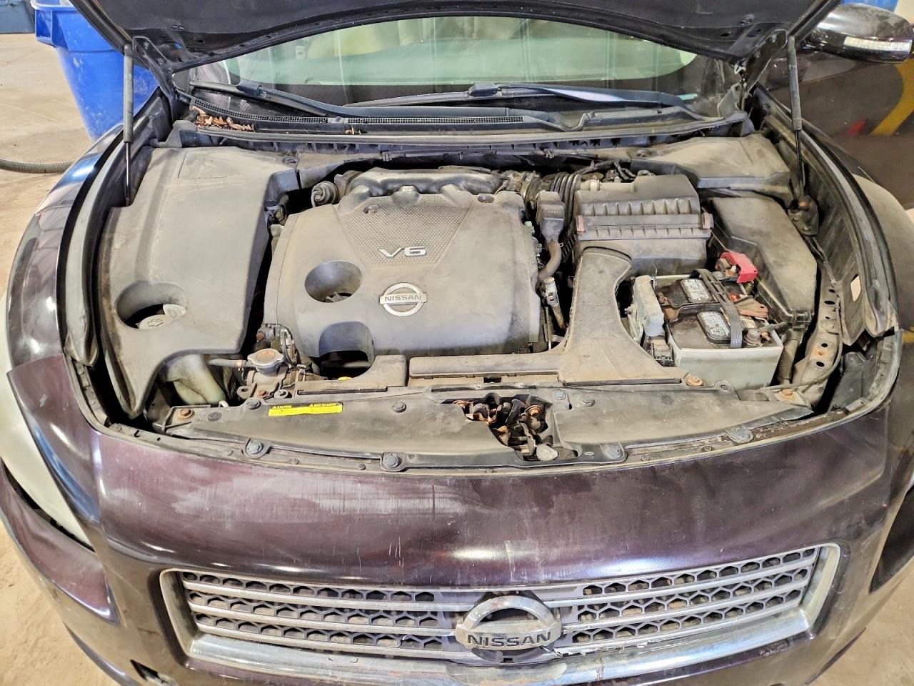 Nissan Maxima 3.5 S