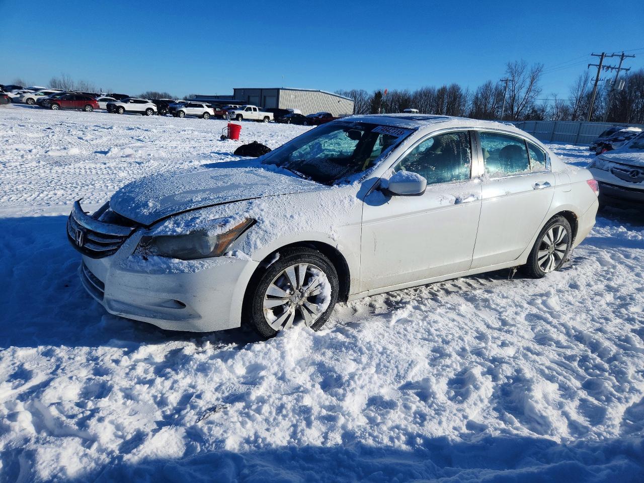 Salvage Honda Accord Image