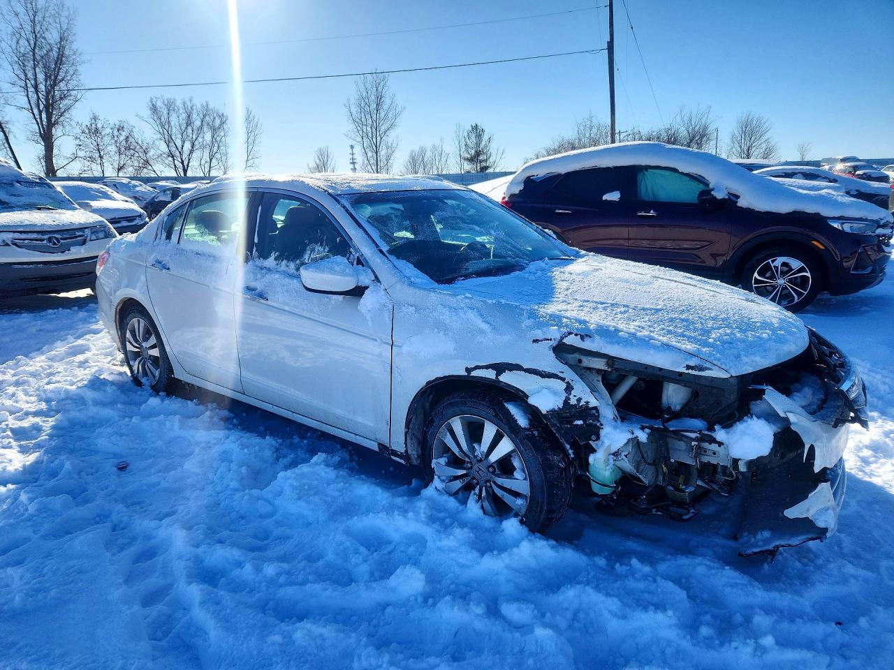 Honda Accord Exl