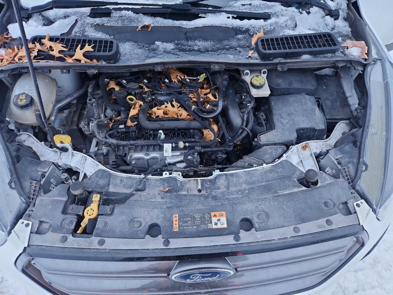 Ford Escape Sel
