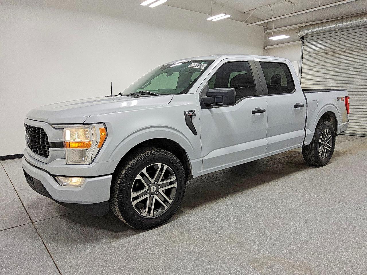 Salvage Ford F-150 Image