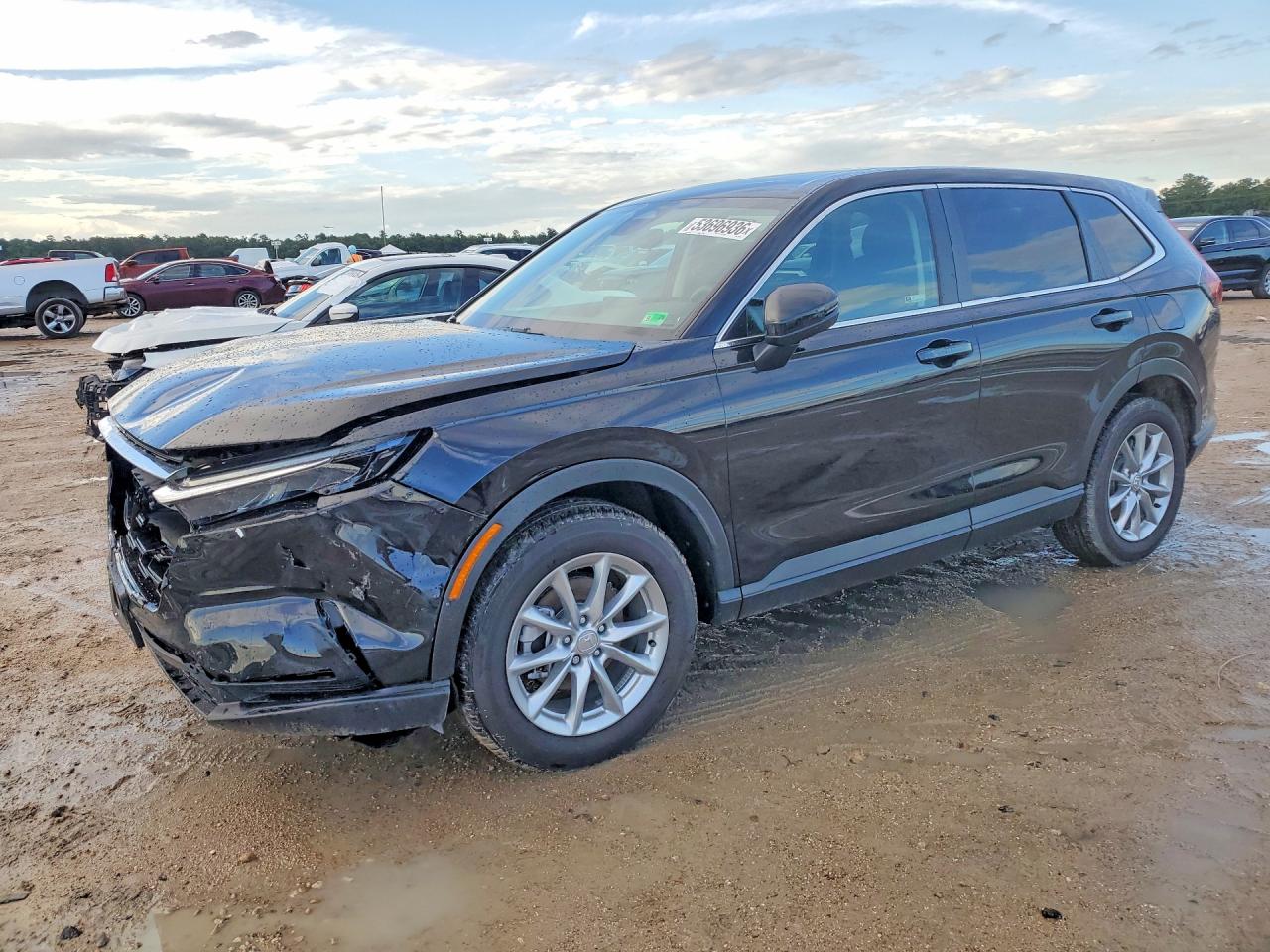 Salvage Honda Crv Image
