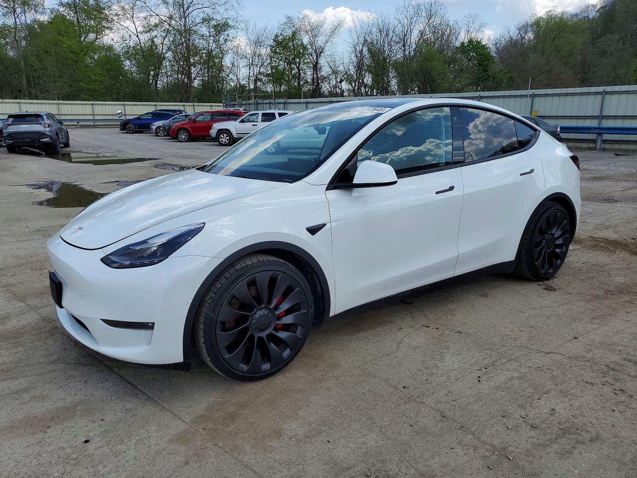 Salvage Tesla Model Y Image