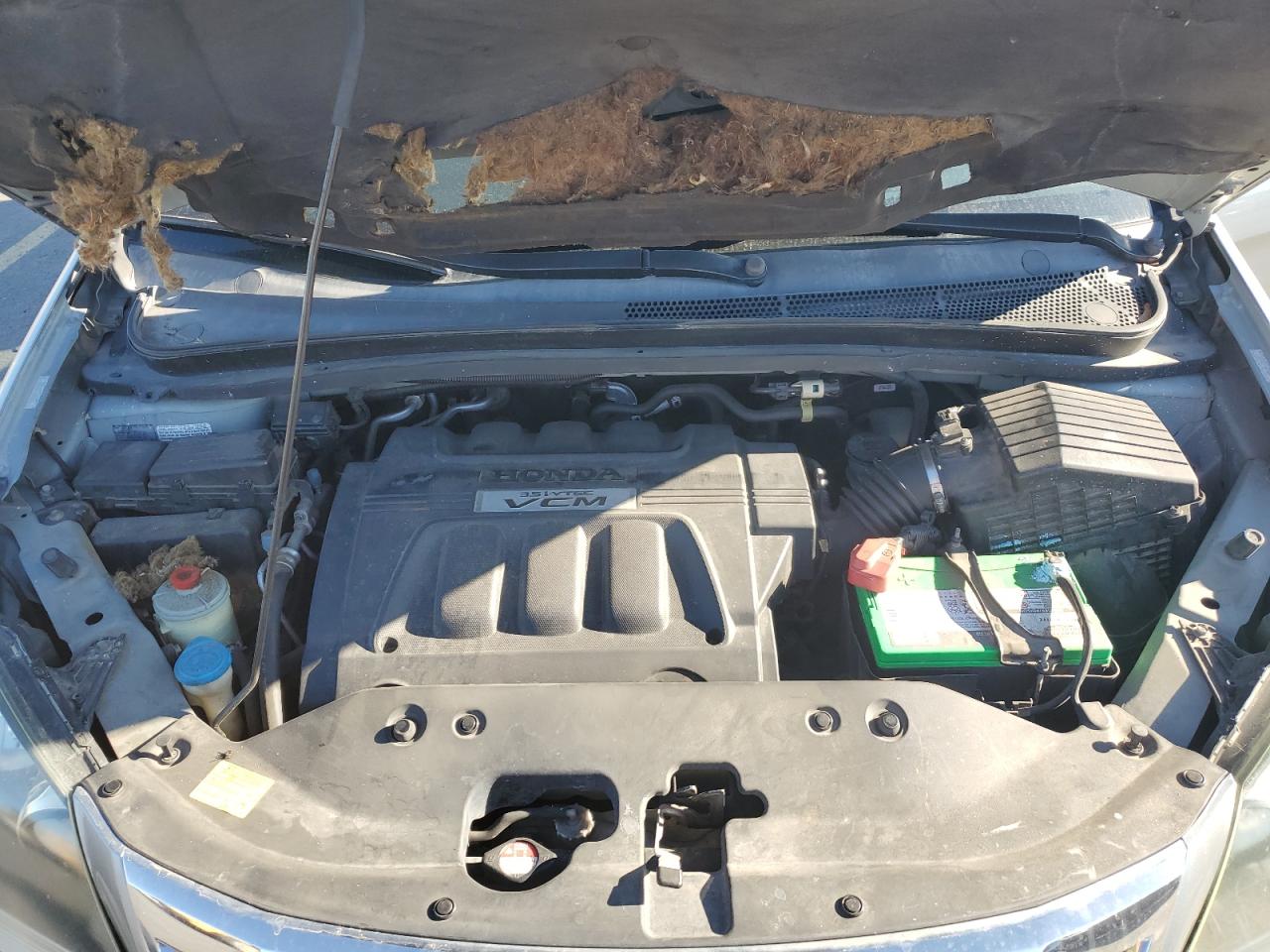 Honda Odyssey Exl