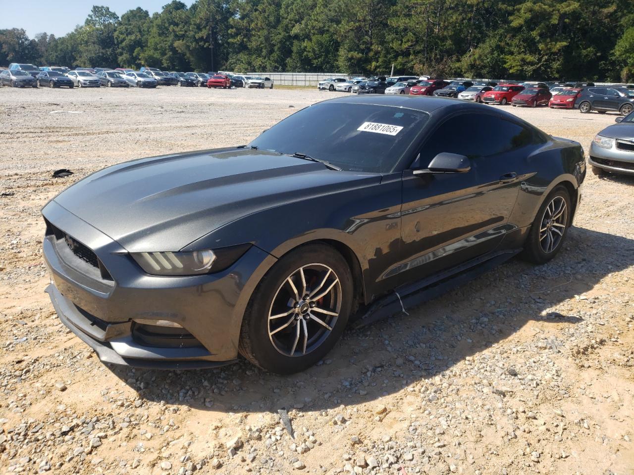 Salvage Ford Mustang Image