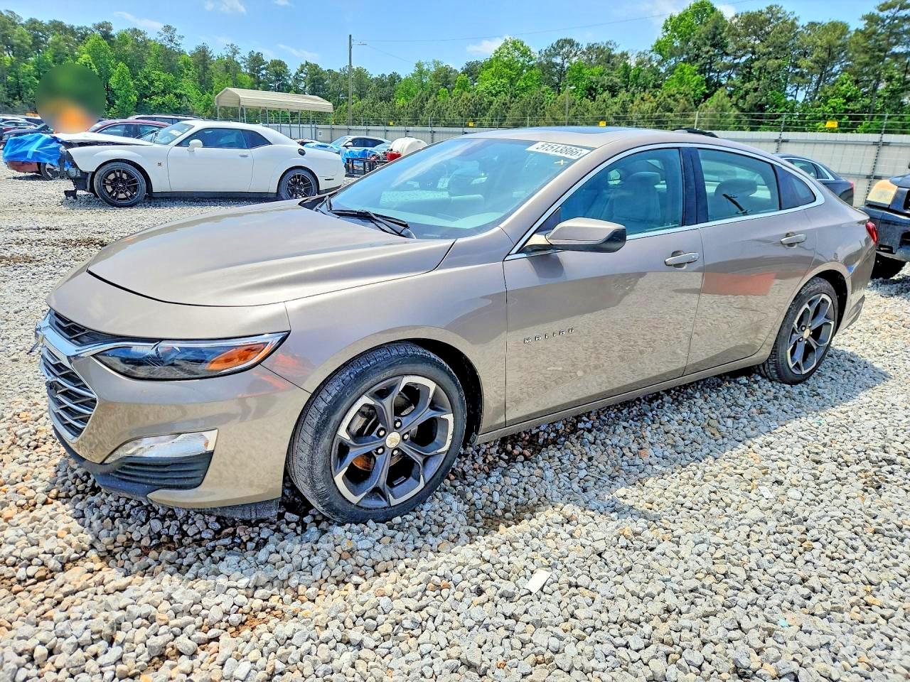 Salvage Chevrolet Malibu Image