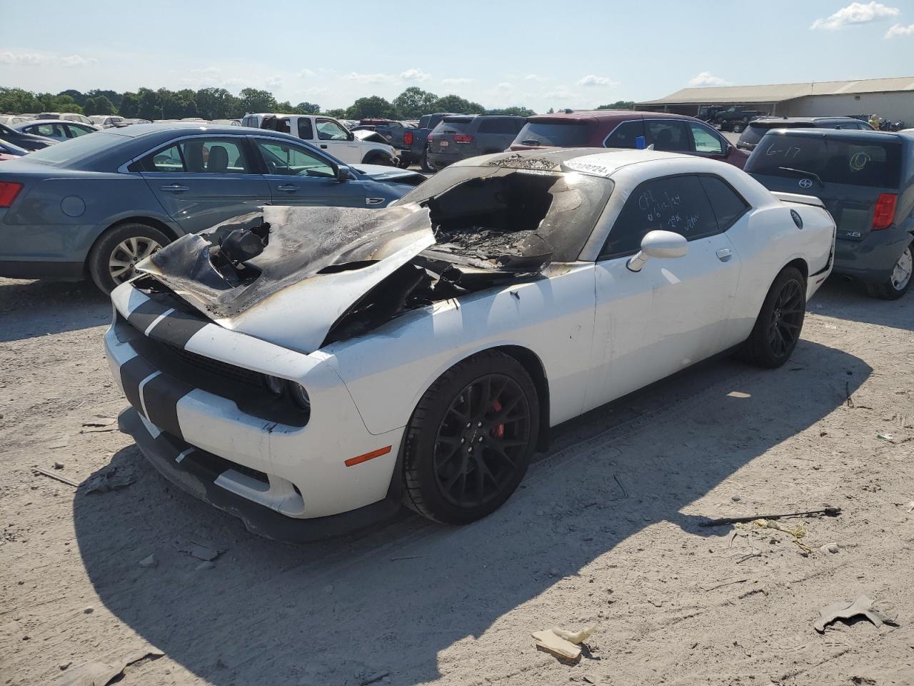 Salvage Dodge Challenger Image
