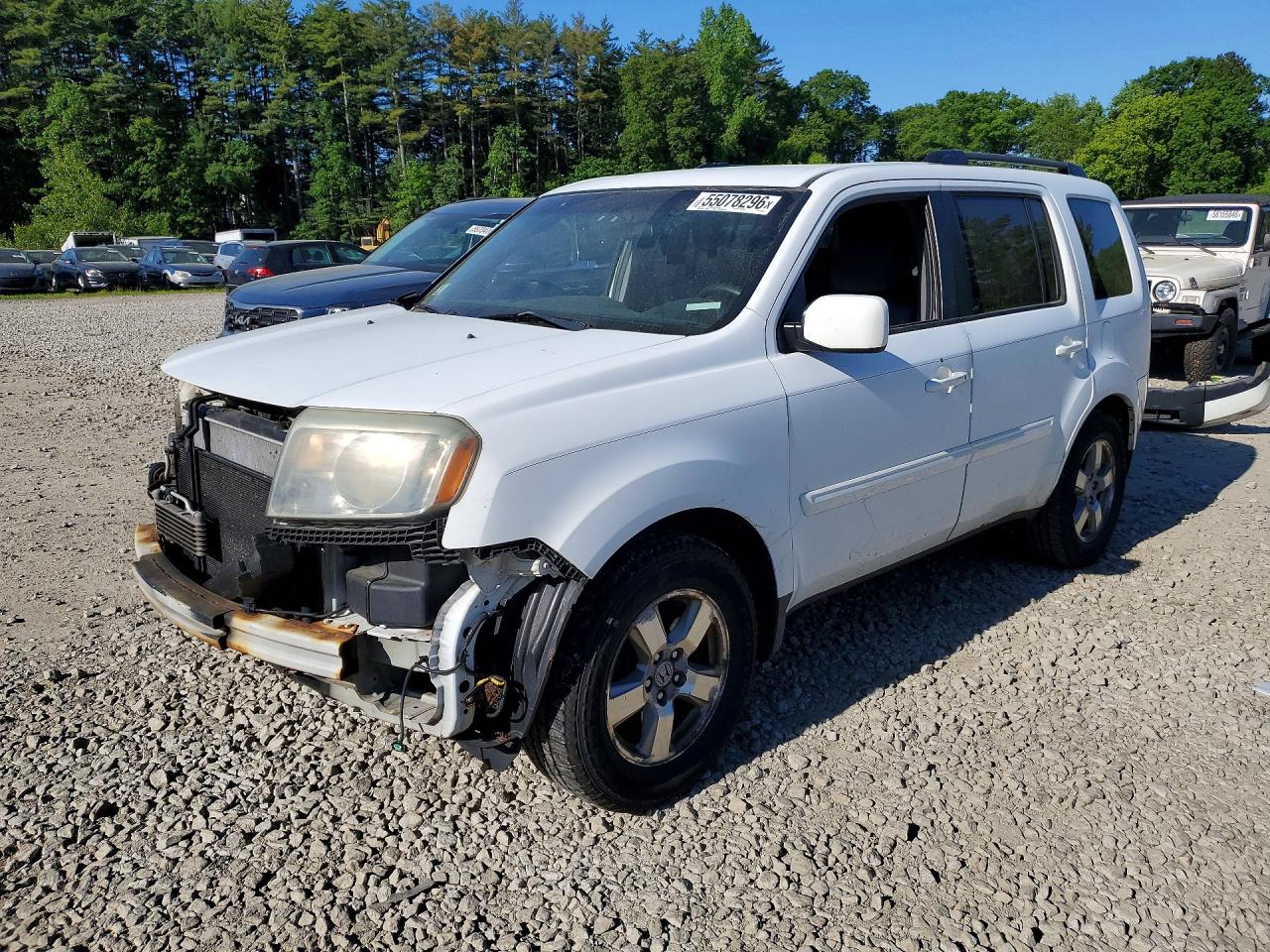 Salvage Honda Pilot Image