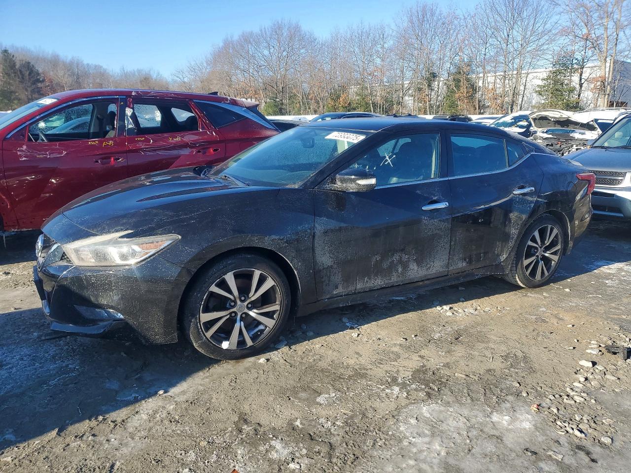 Salvage Nissan Maxima Image