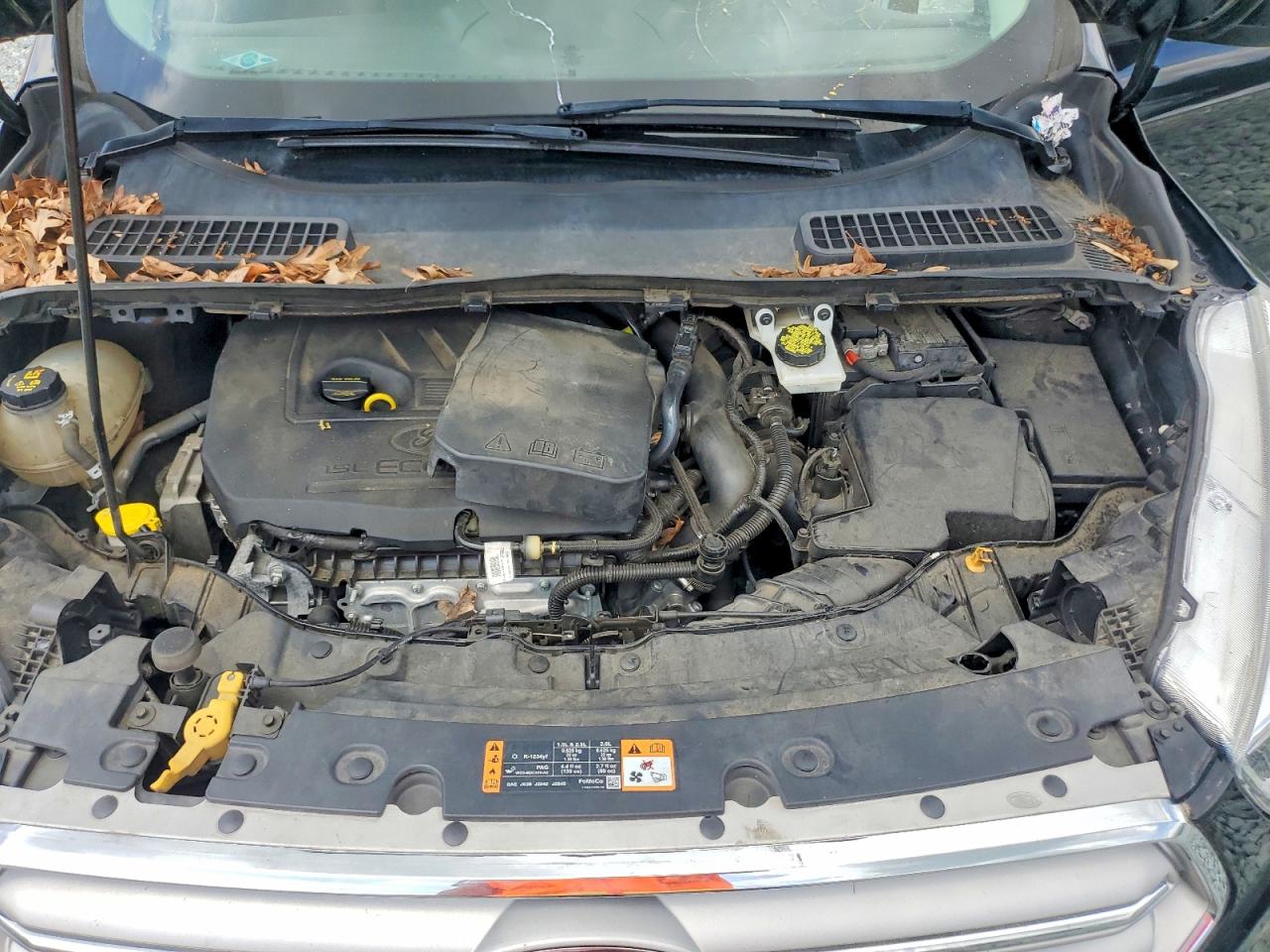 Ford Escape Se