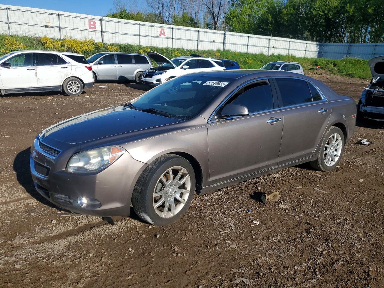Salvage Chevrolet Malibu Image