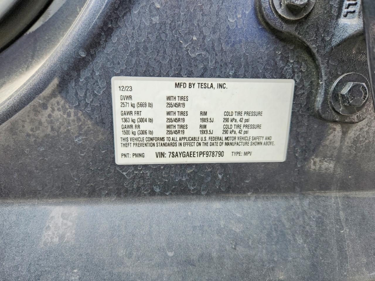 Tesla Model Y