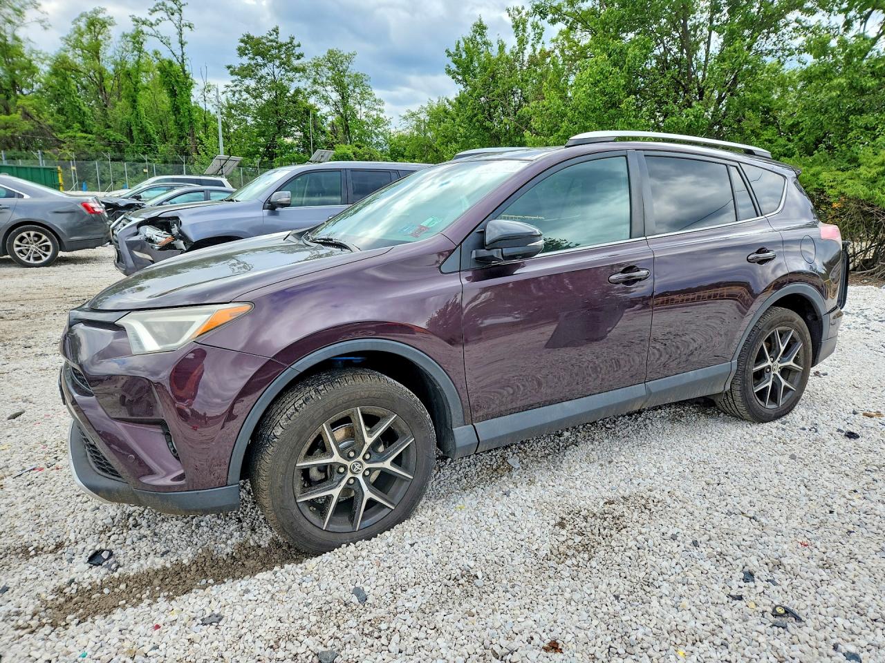 Salvage Toyota RAV4 Image