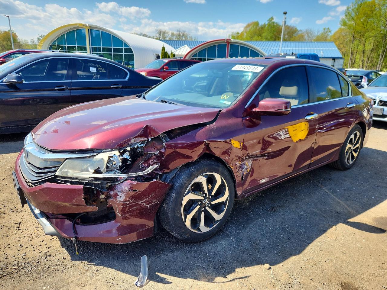 Salvage Honda Accord Image